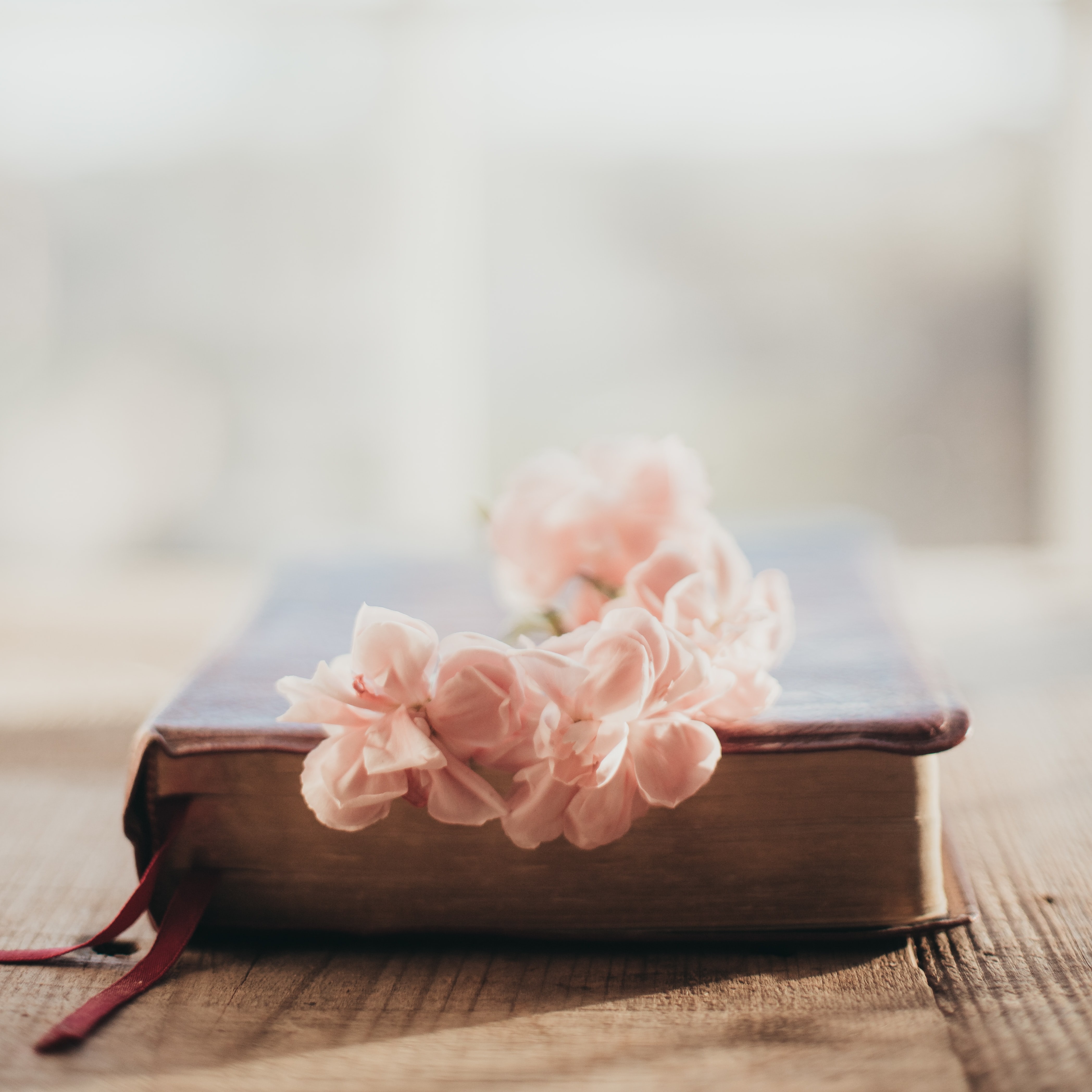 What Happnes at a Cremation - Ian Mann & Son Funeral Directors